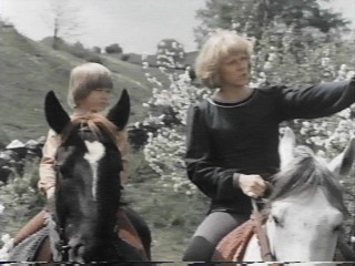 "...there's even a 7-11 to hang around should we ever get bored."